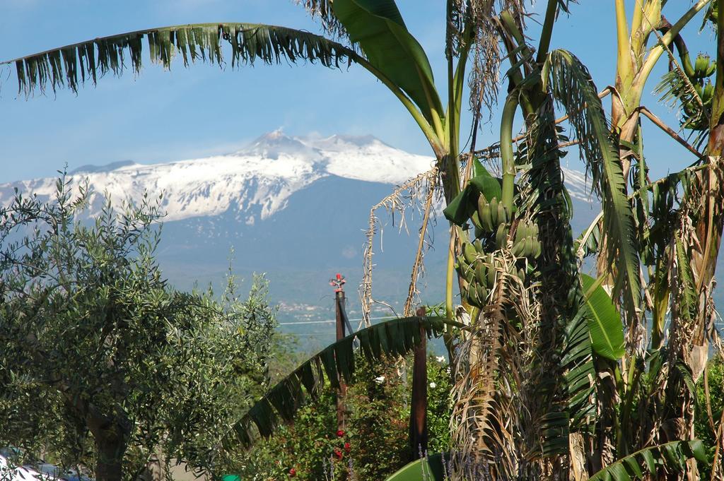 Agriturismo Dell'Etna Riposto Eksteriør billede